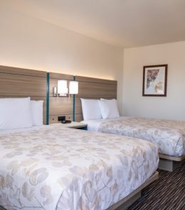 Two Queen Beds