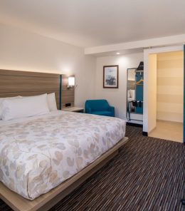 Standard King Bed